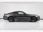 Thumbnail Photo 1 for 2019 Ford Mustang GT Premium